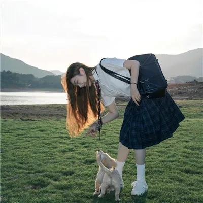 新蔷薇少女